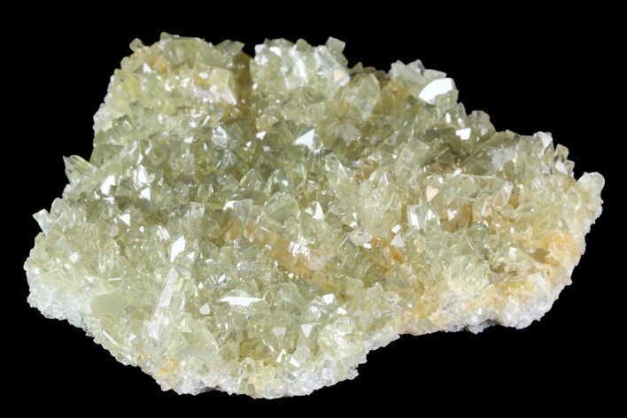 Plate Of Gemmy, Chisel Tipped Barite Crystals - Mexico #84415